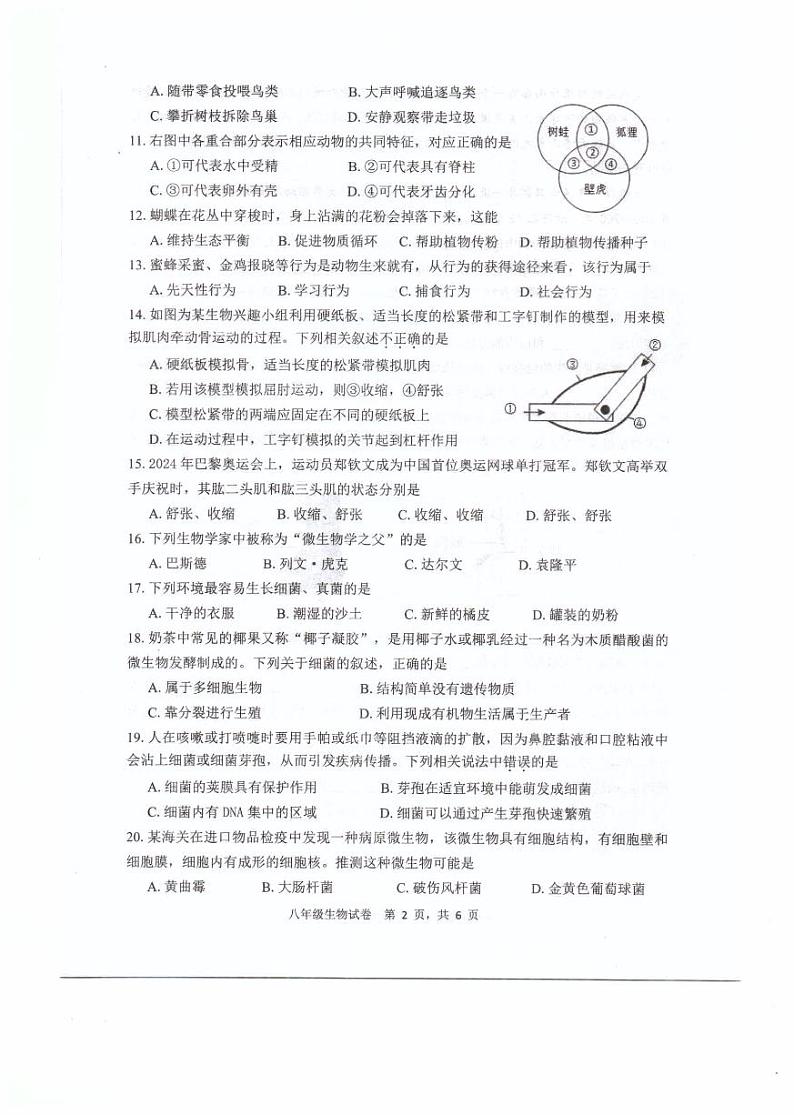 福建省福州福清市2024-2025学年八年级上学期期中考试生物试题第2页