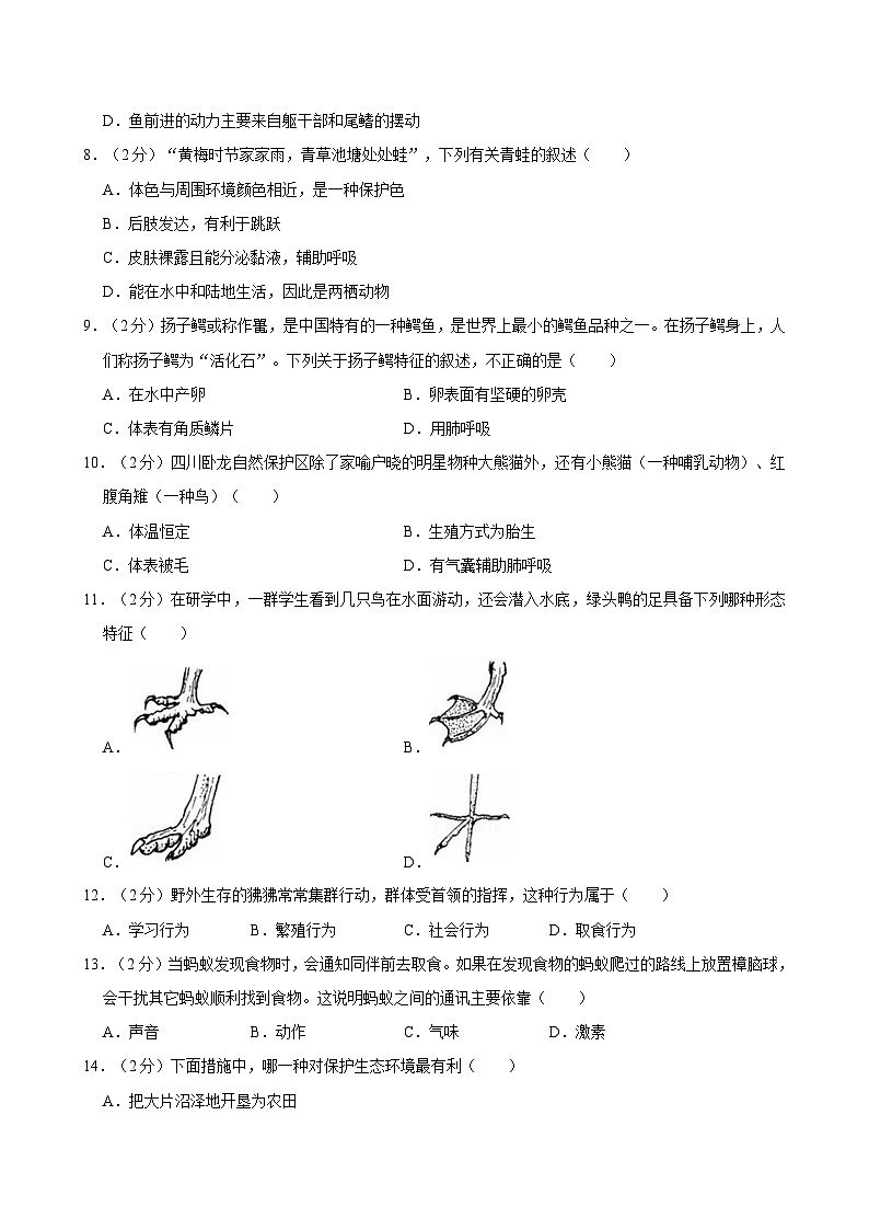 湖南省长沙市长郡教育集团2024-2025学年八年级上学期期中考试生物试卷02