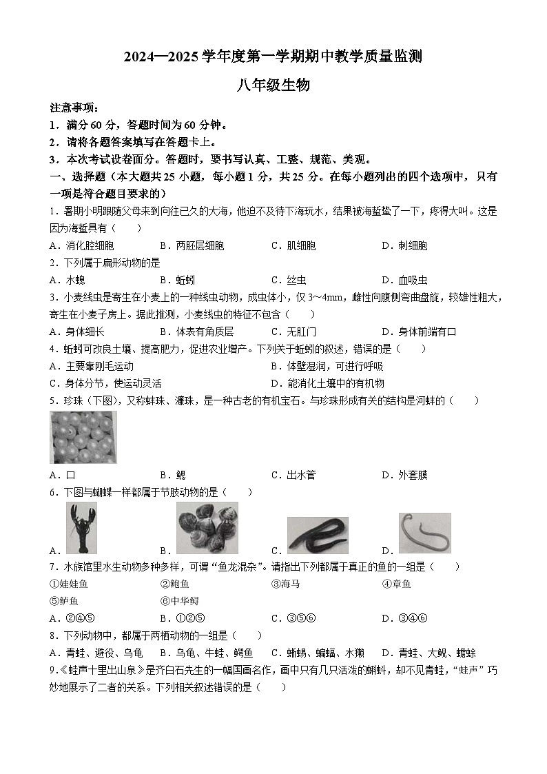 河北省保定市满城区2024-2025学年八年级上学期期中生物试题(无答案)第1页