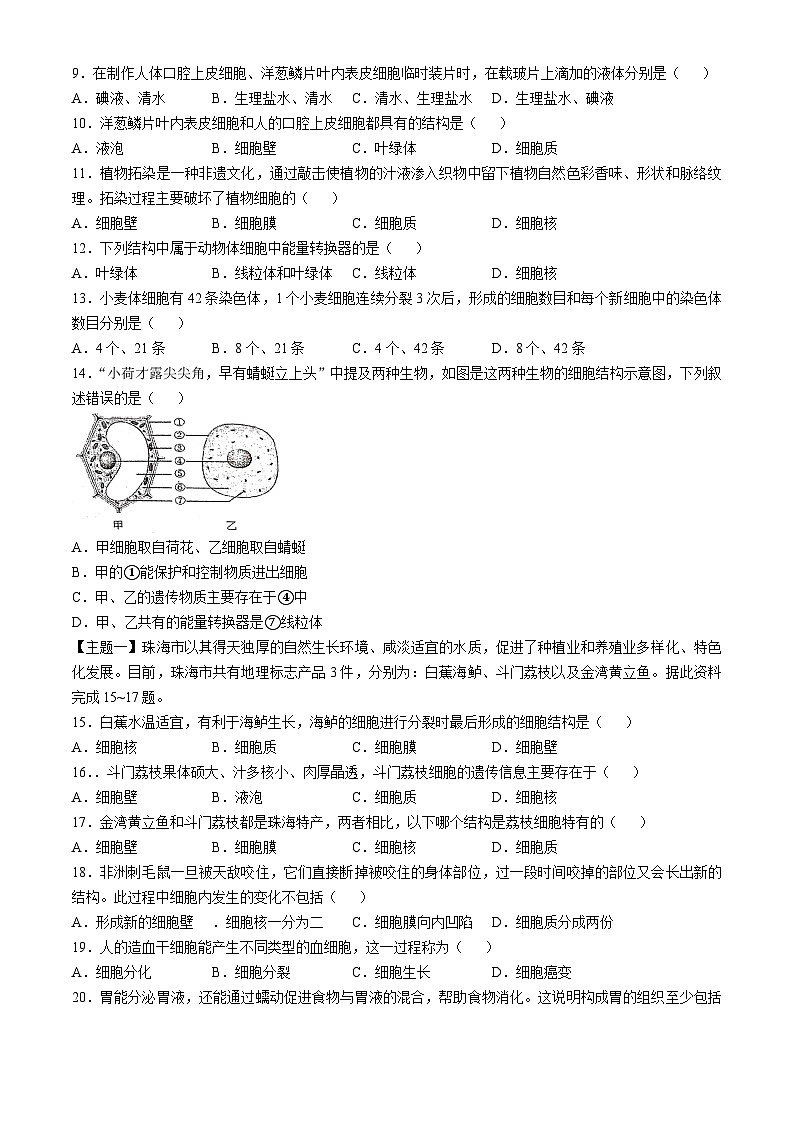 广东省湛江市廉江市良垌镇第三初级中学2024-2025学年七年级上学期期中生物试题第2页
