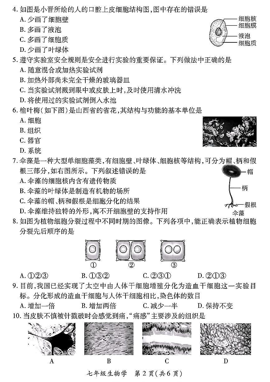 山西省運城市河津市多校2024-2025學年七年級上學期期中測試生物學試卷第2頁