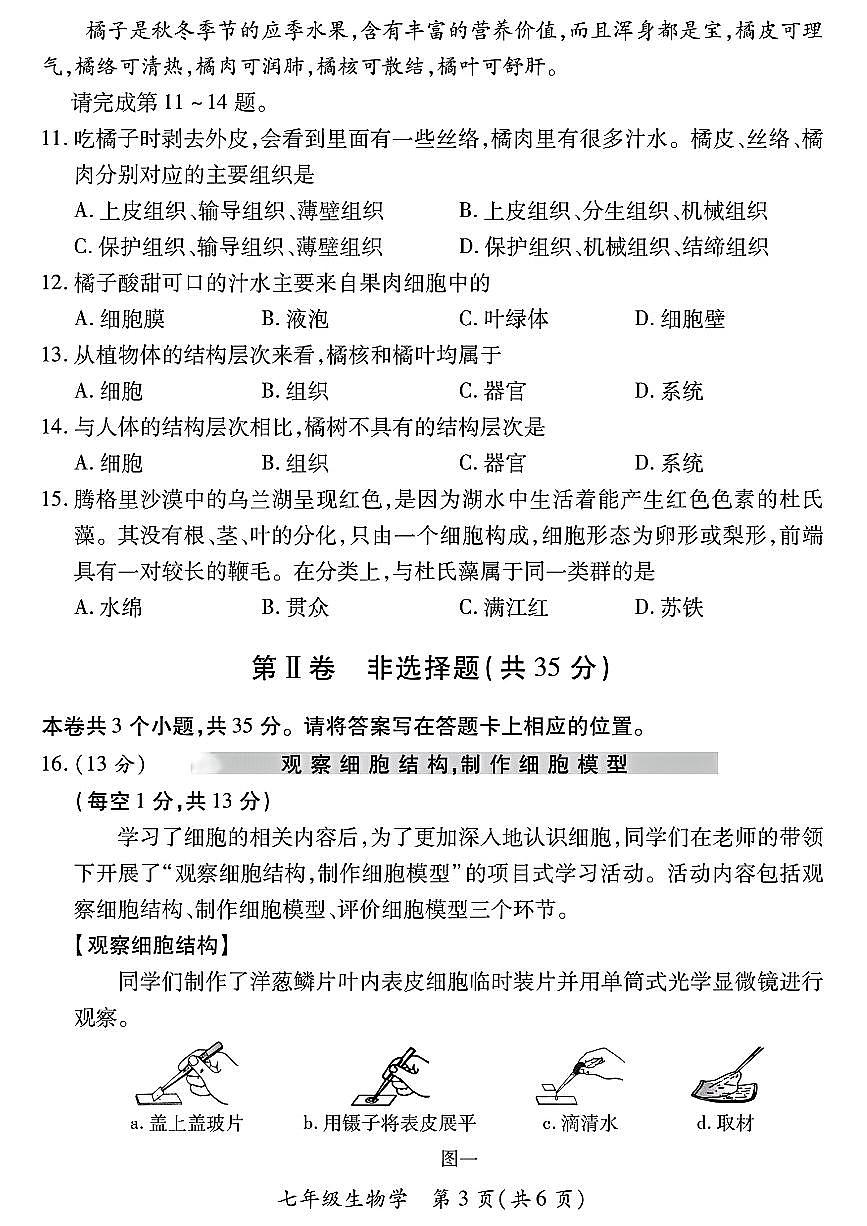 山西省運城市河津市多校2024-2025學年七年級上學期期中測試生物學試卷第3頁