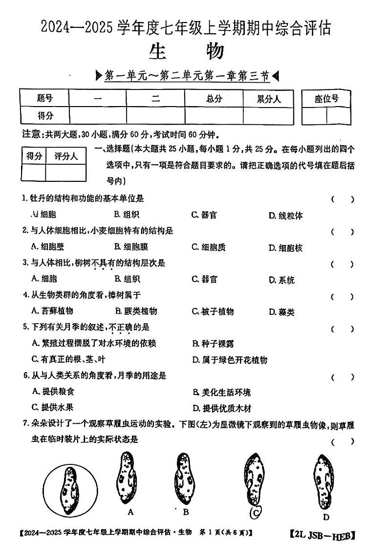 河北省保定市第十三中学2024—2025学年七年级上学期期中检测生物试题第1页