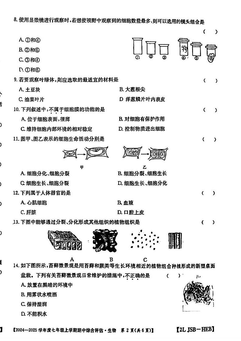 河北省保定市第十三中学2024—2025学年七年级上学期期中检测生物试题第2页