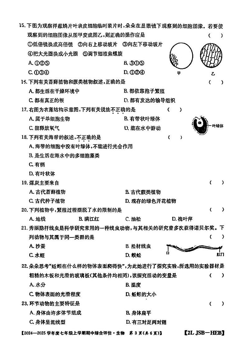 河北省保定市第十三中学2024—2025学年七年级上学期期中检测生物试题第3页