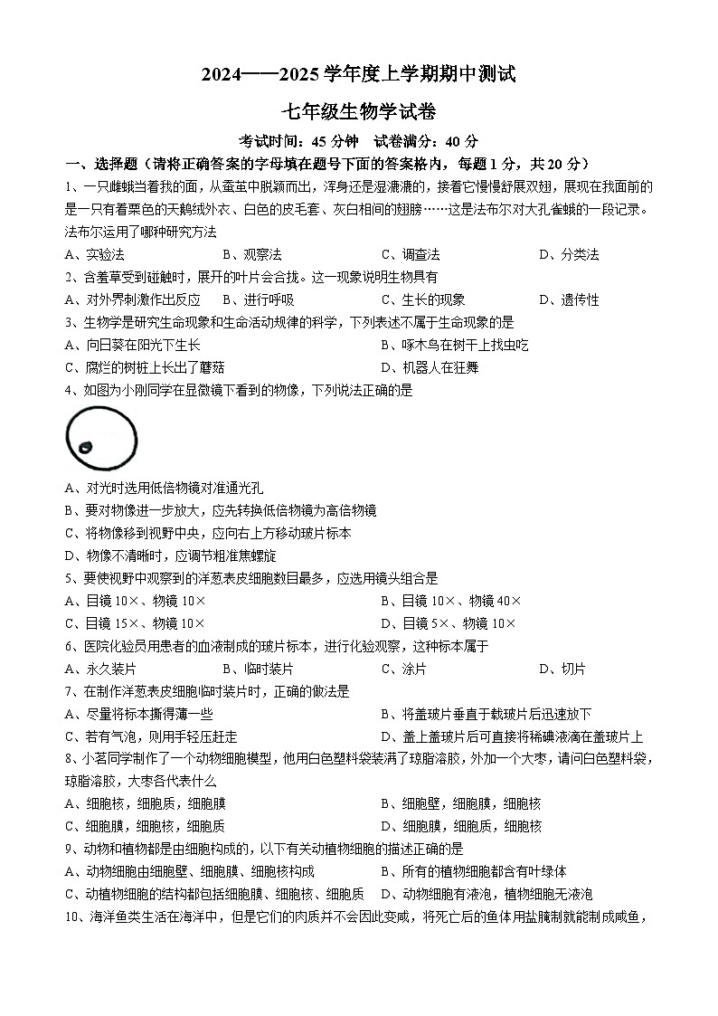 辽宁省丹东市凤城市2024-2025学年七年级上学期期中生物学试题第1页
