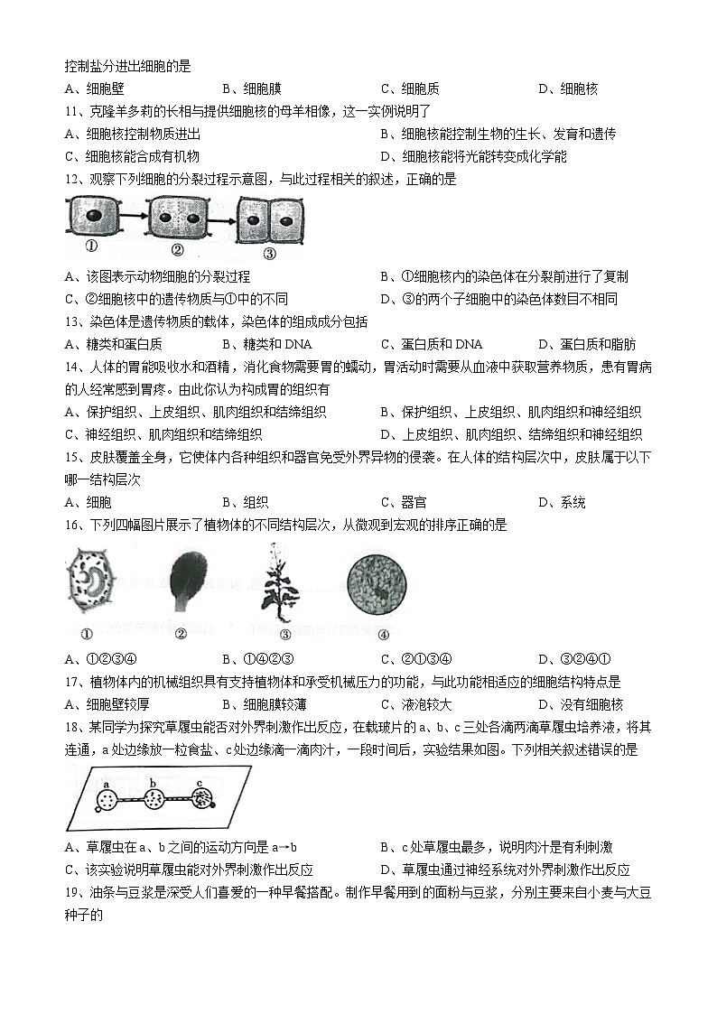 辽宁省丹东市凤城市2024-2025学年七年级上学期期中生物学试题第2页