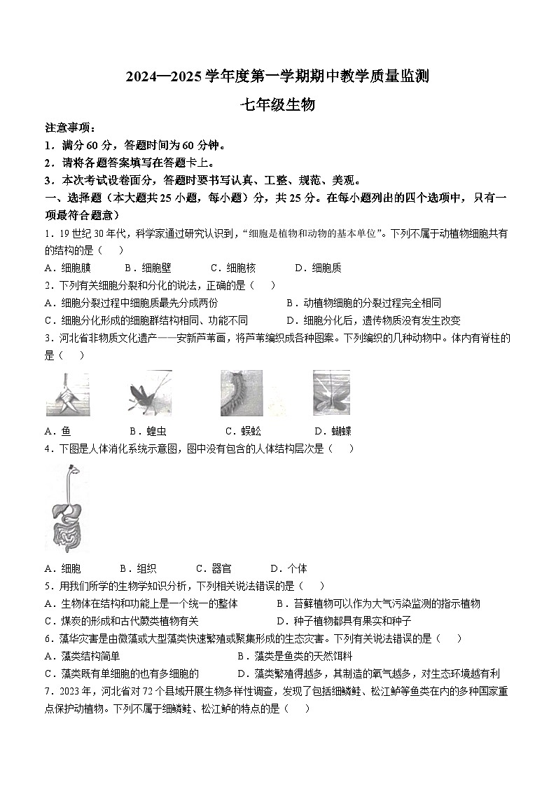 河北省保定市白沟新城等2地2024-2025学年七年级上学期期中生物试题第1页