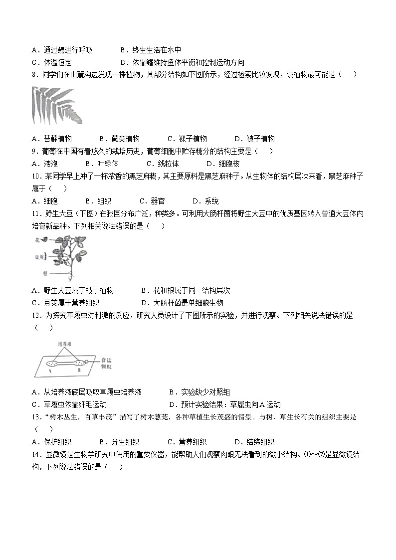 河北省保定市白沟新城等2地2024-2025学年七年级上学期期中生物试题第2页