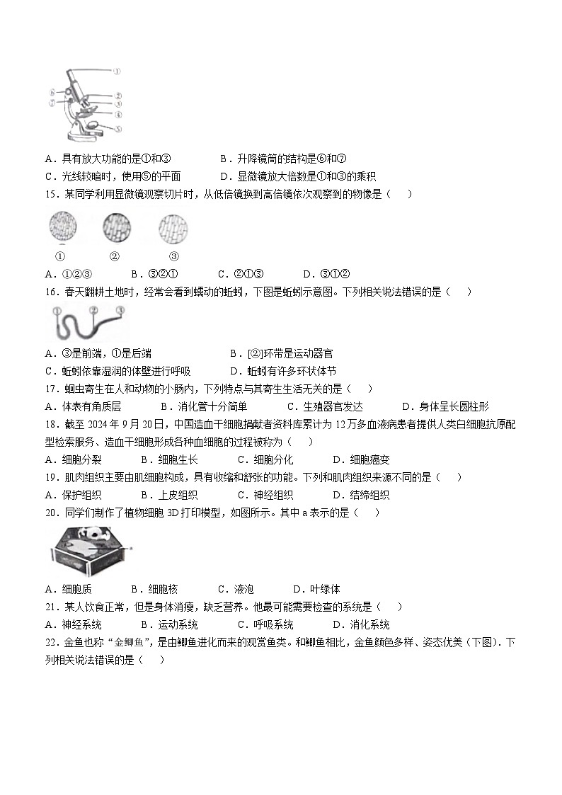 河北省保定市白沟新城等2地2024-2025学年七年级上学期期中生物试题第3页