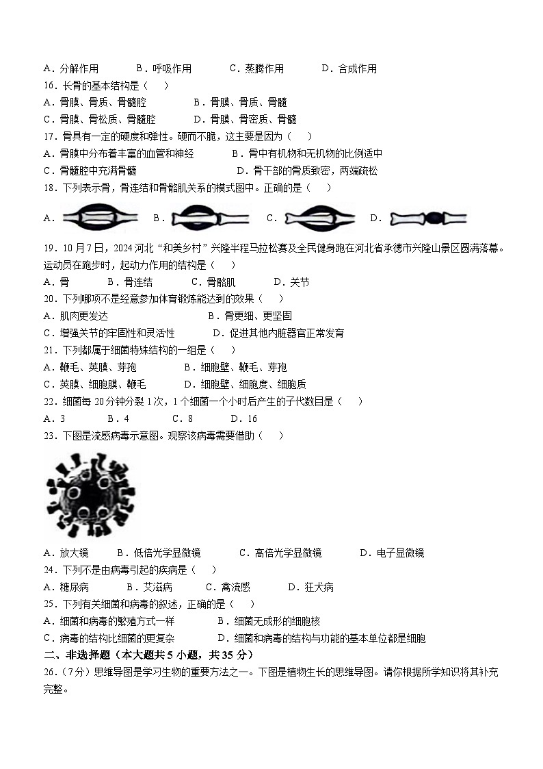 河北省保定市白沟新城等2地2024-2025学年八年级上学期期中生物试题第3页