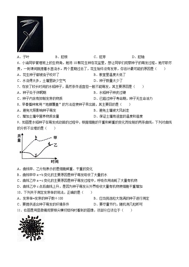 河北省保定市竞秀区2024-2025学年八年级上学期期中生物试题第2页