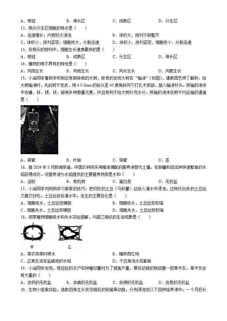 河北省保定市竞秀区2024-2025学年八年级上学期期中生物试题第3页