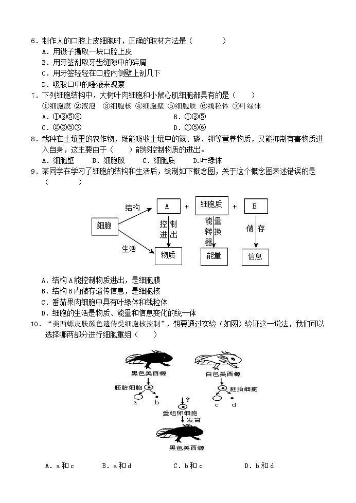 河南省南阳市淅川县2024-2025学年七年级上学期期中阶段调研生物试卷02