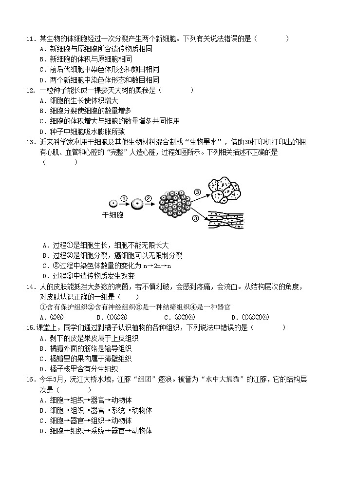 河南省南阳市淅川县2024-2025学年七年级上学期期中阶段调研生物试卷03