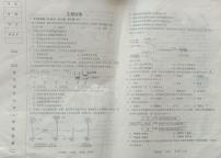 辽宁省鞍山市华育外国语实验学校2024-2025学年七年级上学期11月期中生物试题