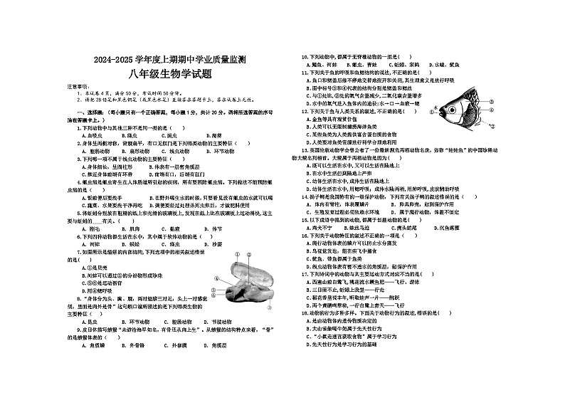 河南省信阳市息县2024-2025学年八年级上学期期中生物试题01