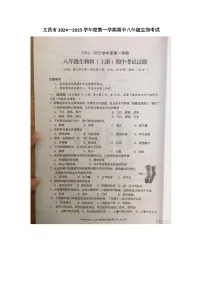 海南省文昌市2024—2025学年八年级上学期期中生物考试试题