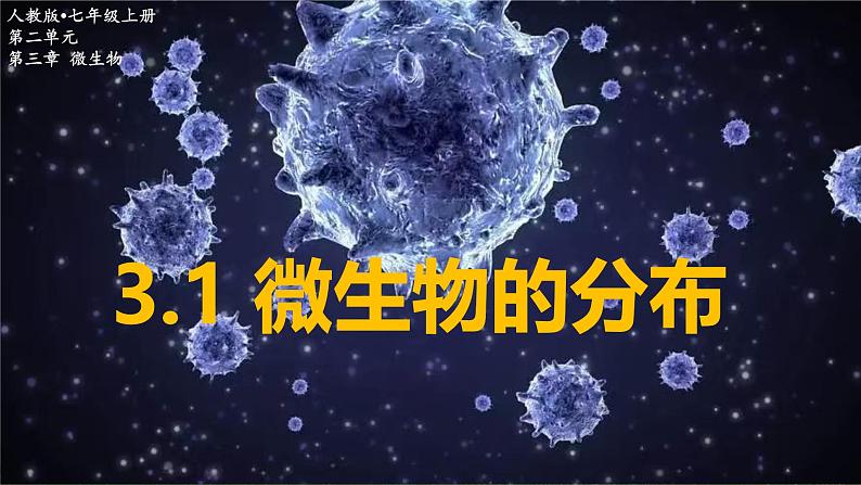 初中 生物 人教版(2024) 七年级上册 第二单元 第三章 微生物第一节 微生物的分布 课件第1页
