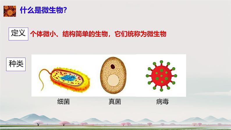 初中 生物 人教版(2024) 七年级上册 第二单元 第三章 微生物第一节 微生物的分布 课件第4页