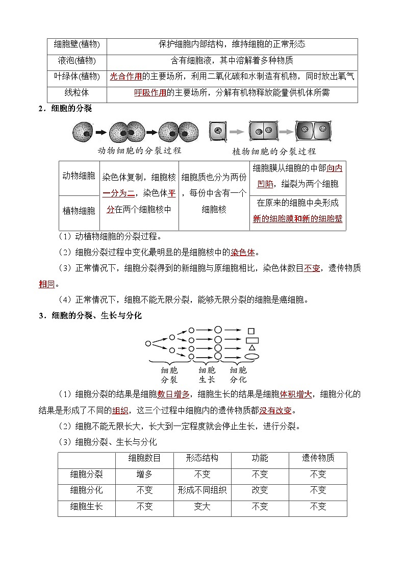 七年级上册生物知识点识图速记第3页