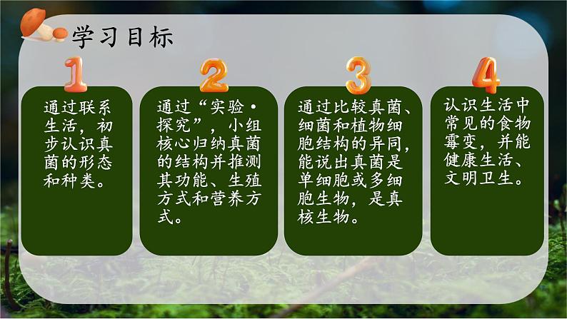 初中 生物 人教版(2024) 七年级上册 第二单元 第三章 第三节 真菌 课件第3页
