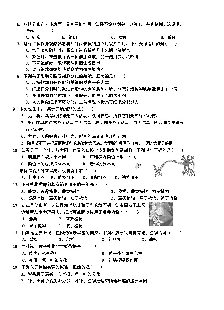 (教研室提供)山东省枣庄市台儿庄区2024-2025学年七年级上学期期中考试生物试题第2页