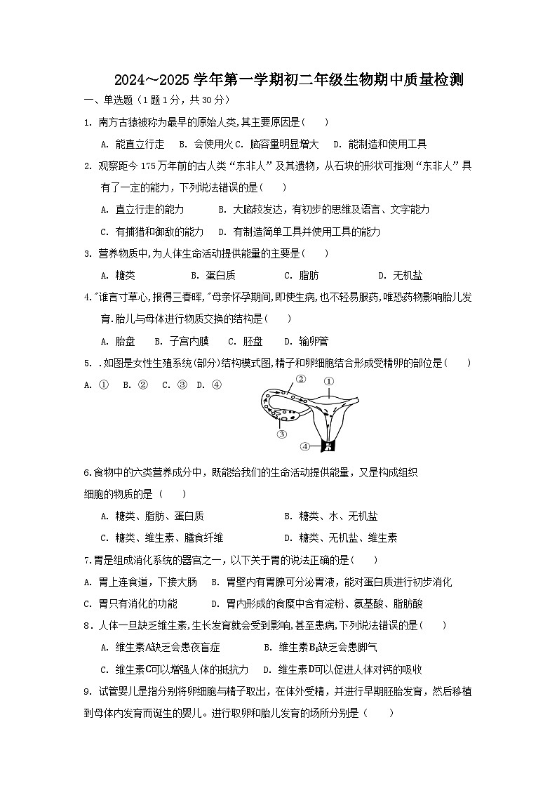 山东省威海市文登区实验中学(五四制)2024-2025学年七年级上学期期中考试生物试题01