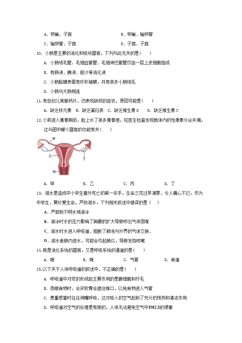 山东省威海市文登区实验中学(五四制)2024-2025学年七年级上学期期中考试生物试题02