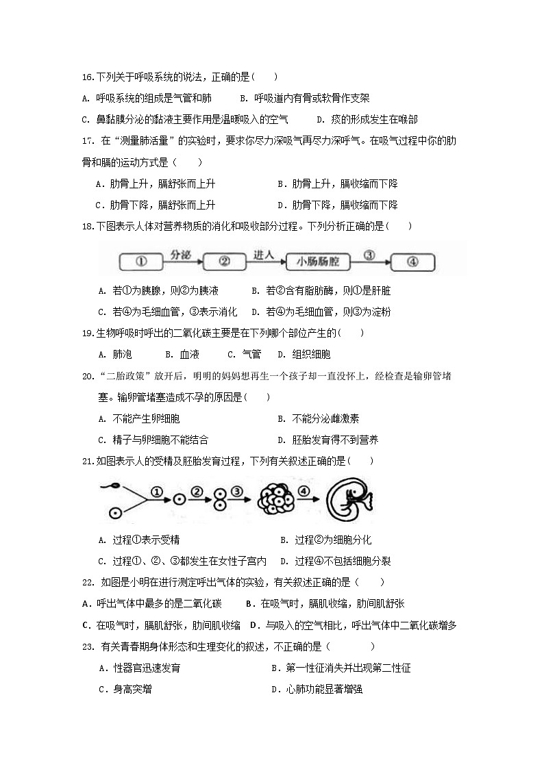 山东省威海市文登区实验中学(五四制)2024-2025学年七年级上学期期中考试生物试题03