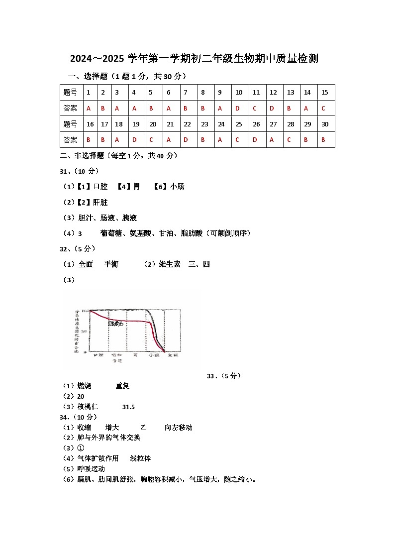 山东省威海市文登区实验中学(五四制)2024-2025学年七年级上学期期中考试生物试题01