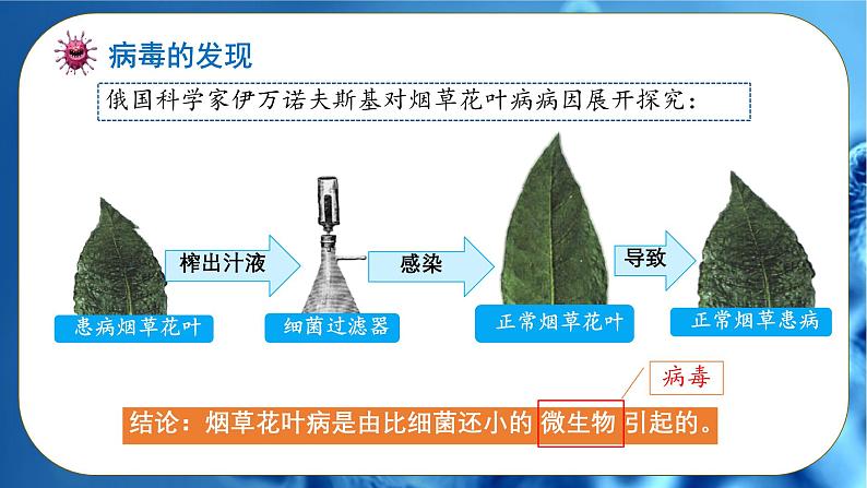 初中 生物 人教版(2024) 七年级上册 第二单元 第三章第四节 病毒 课件第5页