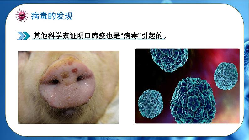 初中 生物 人教版(2024) 七年级上册 第二单元 第三章第四节 病毒 课件第6页