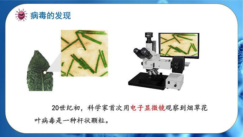 初中 生物 人教版(2024) 七年级上册 第二单元 第三章第四节 病毒 课件第7页