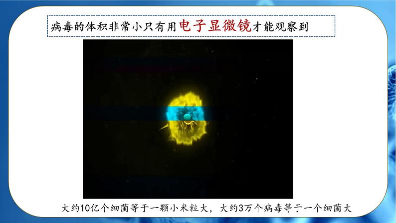 初中 生物 人教版(2024) 七年级上册 第二单元 第三章第四节 病毒 课件第8页