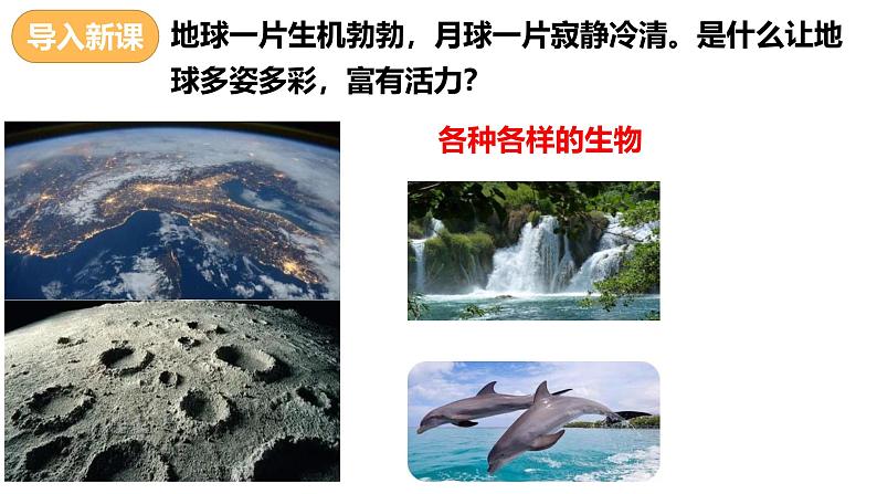 人教版(2024)七年级生物上册第一单元1.2生物的特征ppt精品课件第3页