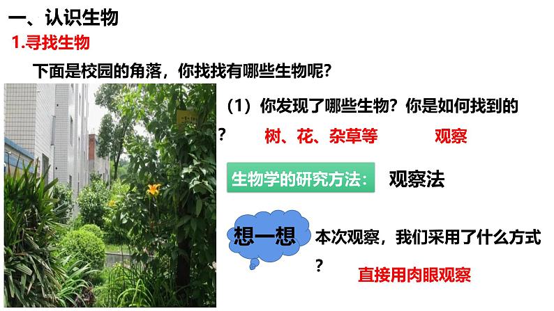人教版(2024)七年级生物上册第一单元1.2生物的特征ppt精品课件第4页