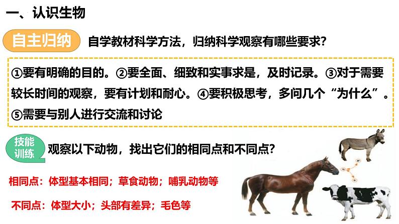 人教版(2024)七年级生物上册第一单元1.2生物的特征ppt精品课件第6页