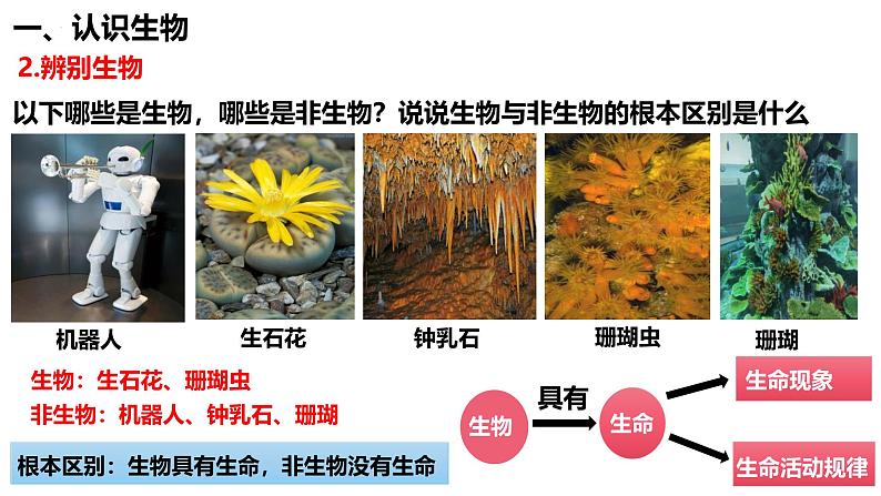 人教版(2024)七年级生物上册第一单元1.2生物的特征ppt精品课件第7页