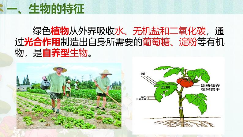 人教版(2024)七年级生物上册第一单元1.2生物的特征精品ppt课件第7页