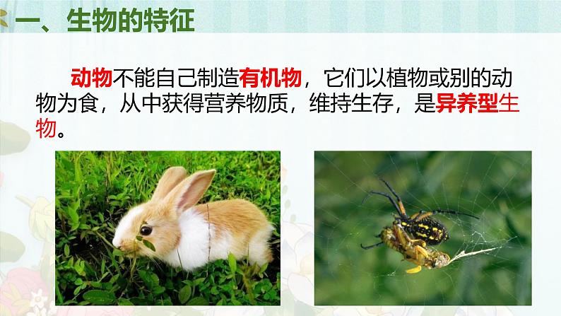 人教版(2024)七年级生物上册第一单元1.2生物的特征精品ppt课件第8页