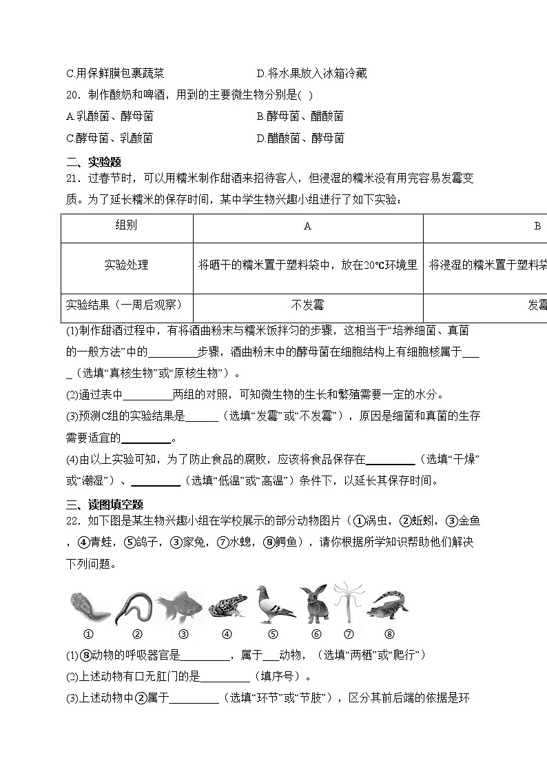 吉林省白城市多校2024-2025学年八年级上学期期中考试生物试卷(含答案)第3页
