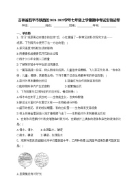 吉林省四平市铁西区2024-2025学年七年级上学期期中考试生物试卷(含答案)