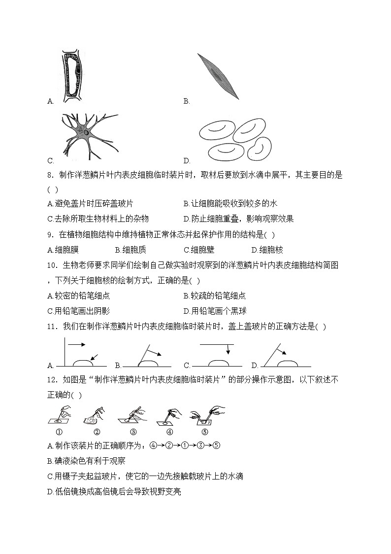 吉林省长春市2024-2025学年七年级上学期第一次月考生物试卷(含答案)第2页