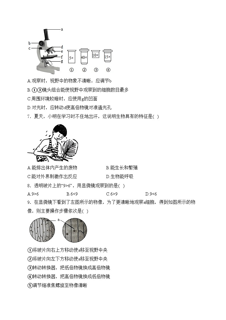 山西省大同市第三中学校2024-2025学年七年级上学期第一次月考生物试卷(含答案)02