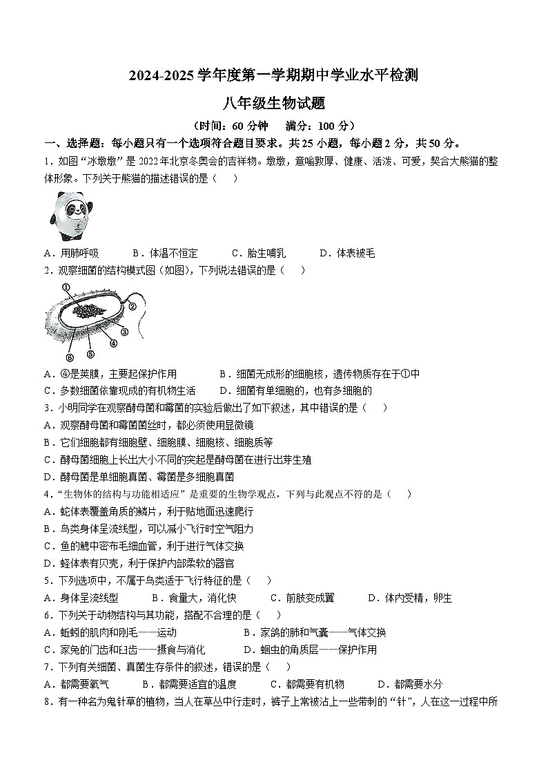 山东省聊城市东昌府区2024-2025学年八年级上学期期中生物学试题第1页