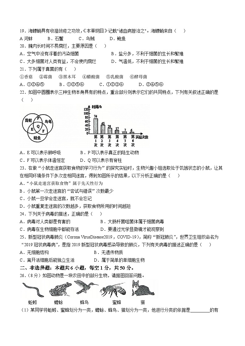 山东省聊城市东昌府区2024-2025学年八年级上学期期中生物学试题第3页