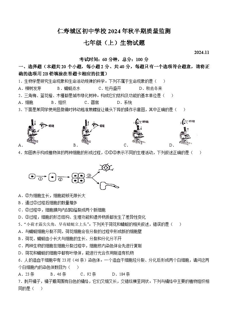 四川省眉山市仁寿县仁寿城区初中学校2024-2025学年七年级上学期期中生物试题(无答案)01