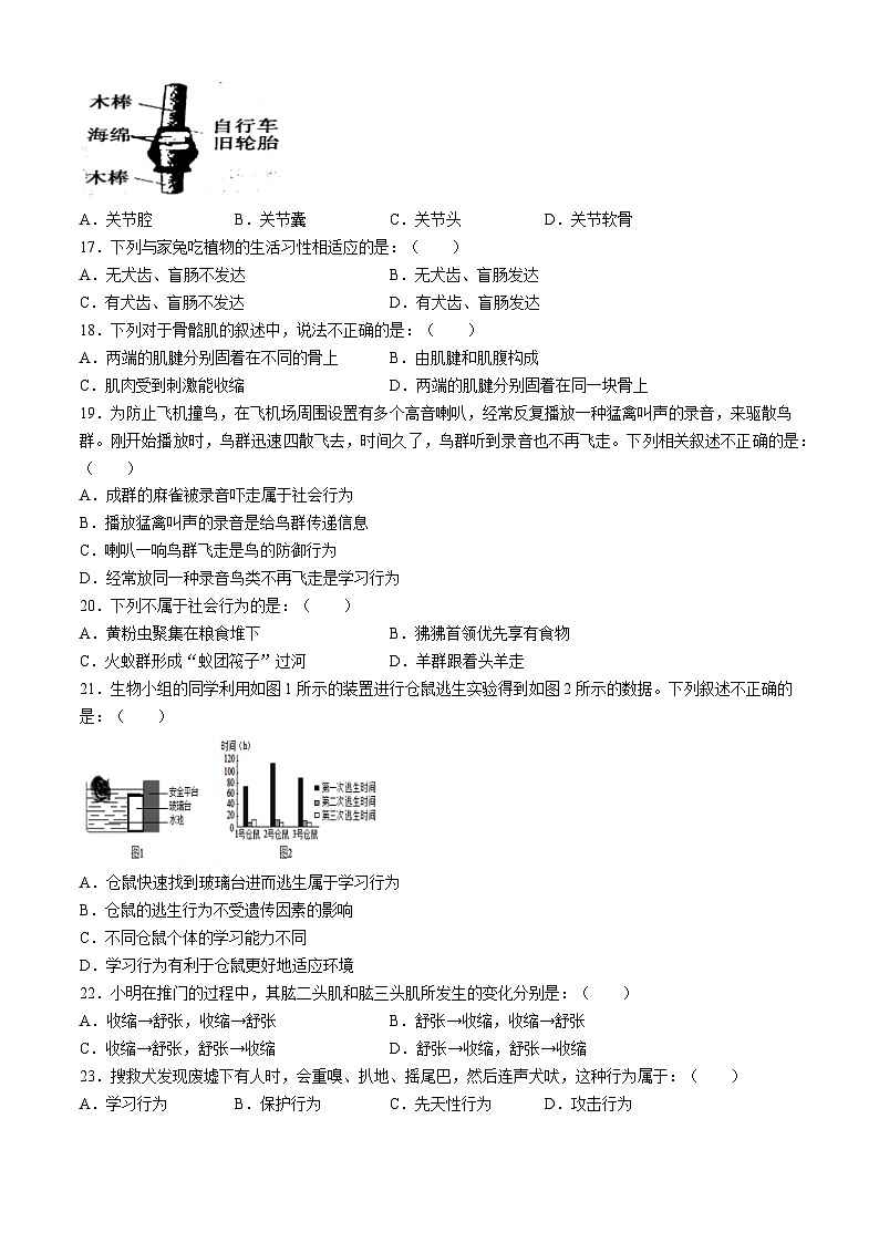 河南省三门峡市渑池县2024-2025学年八年级上学期期中生物试题第3页