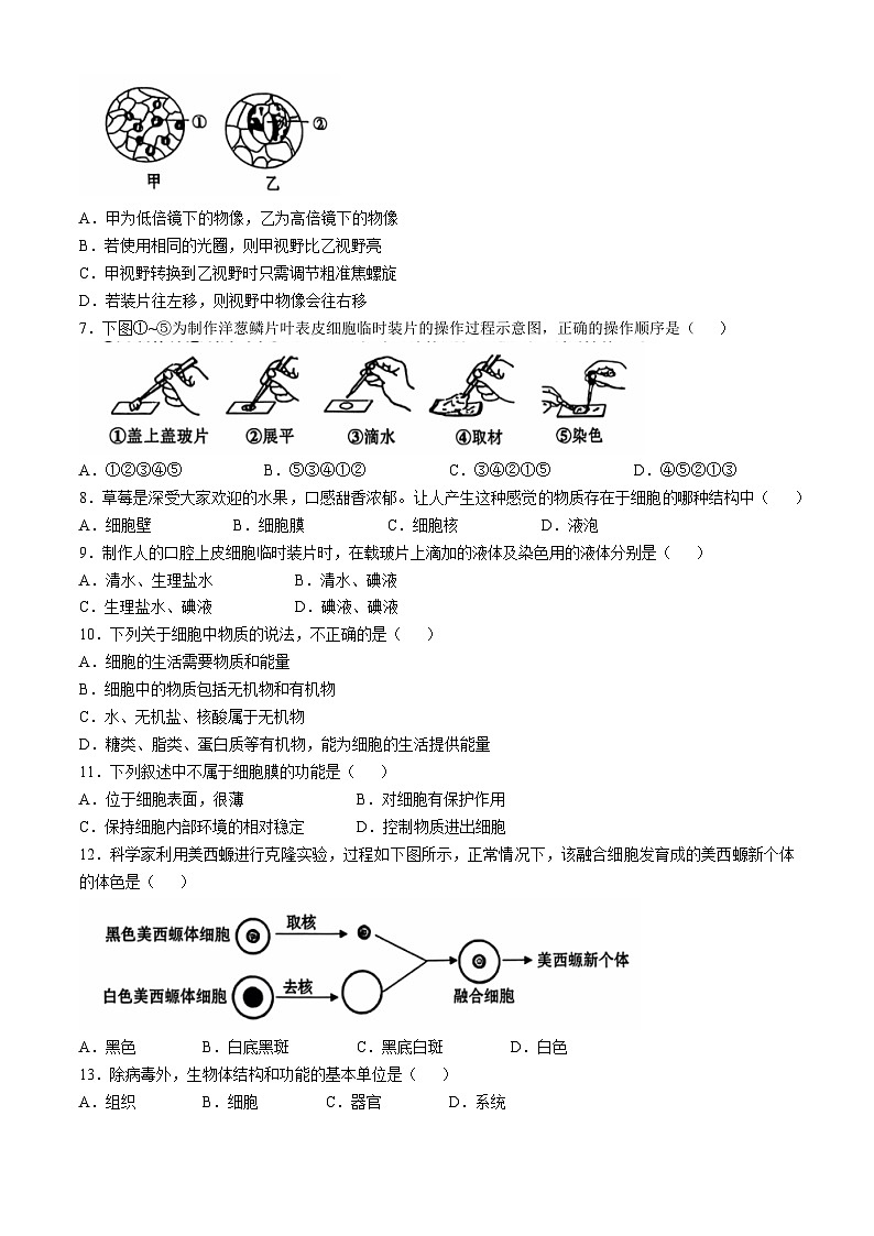 云南省昭通市昭阳区2024-2025学年七年级上学期期中生物试题第2页